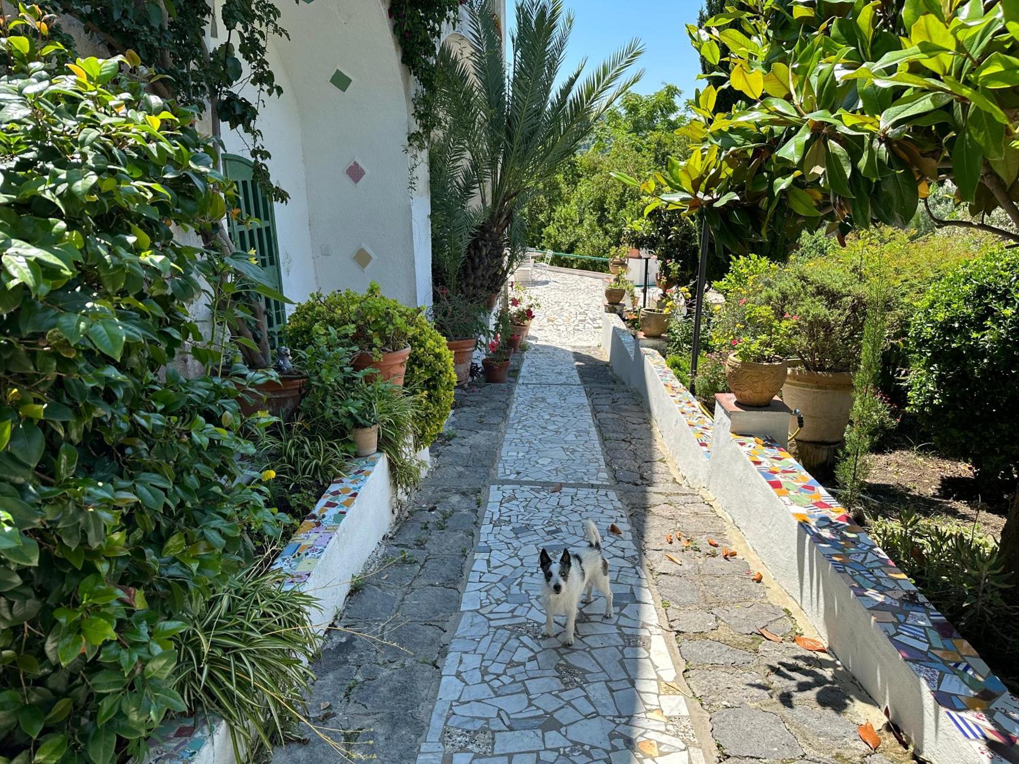 Villa Vincenzo Di Meglio Barano dʼIschia Exteriör bild