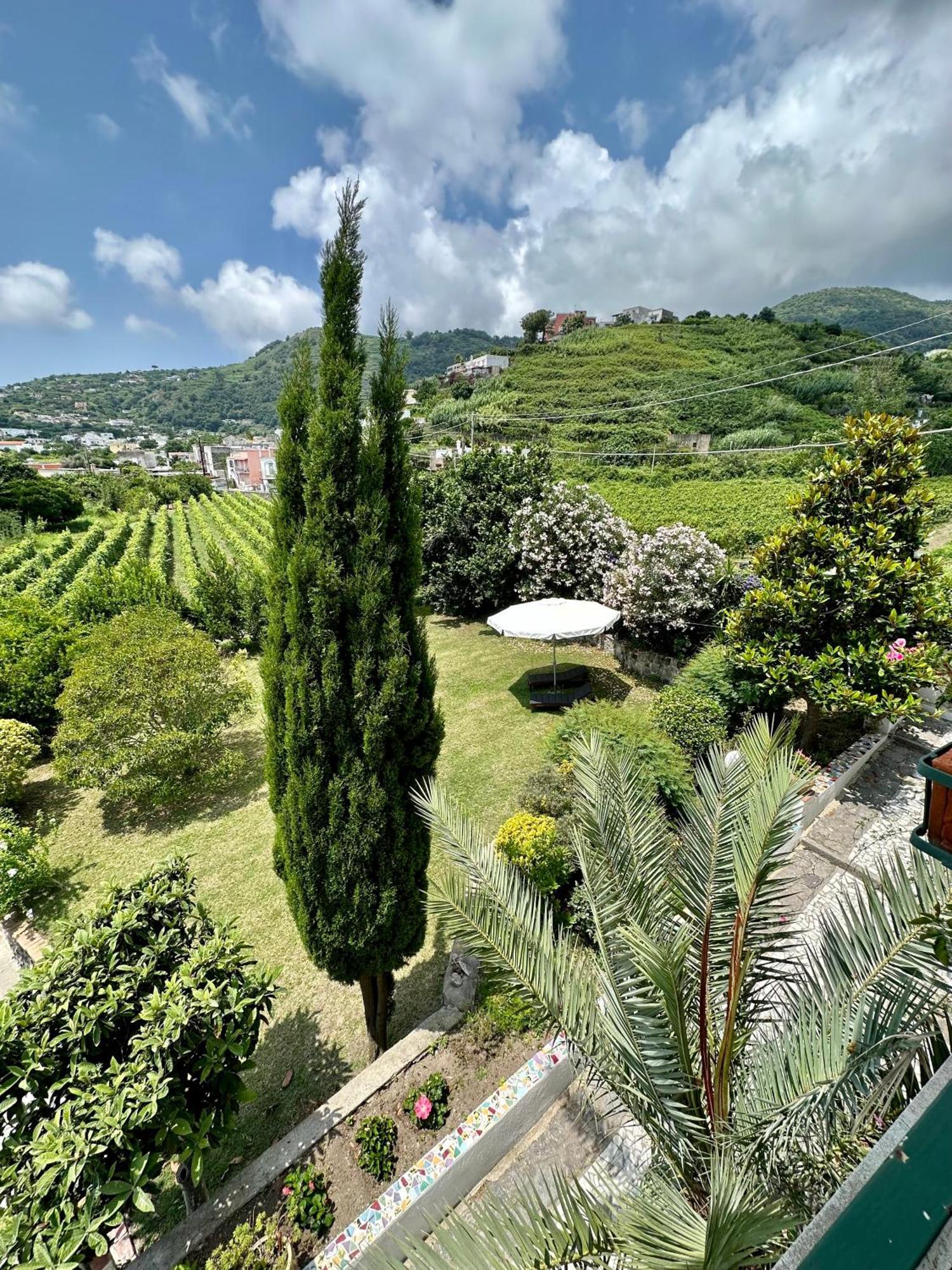 Villa Vincenzo Di Meglio Barano dʼIschia Exteriör bild