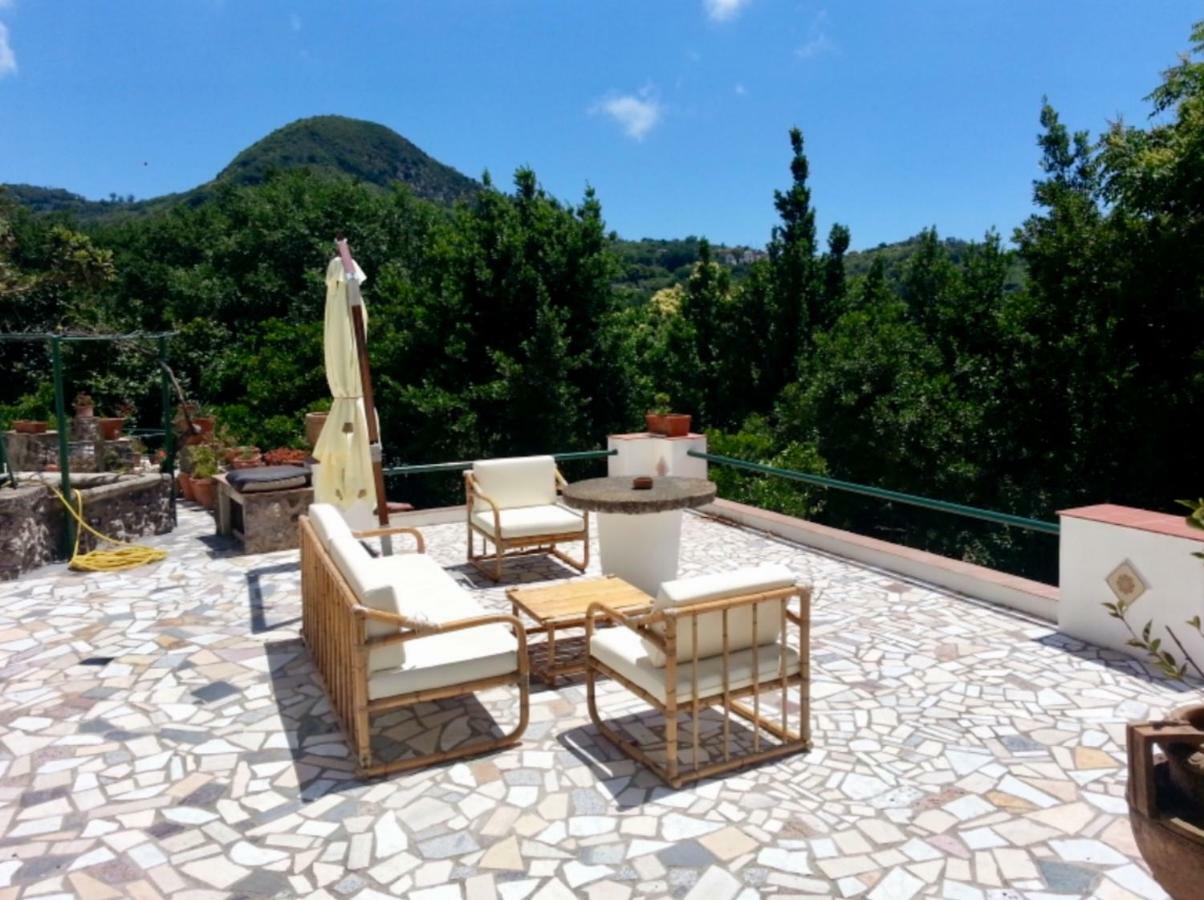 Villa Vincenzo Di Meglio Barano dʼIschia Exteriör bild