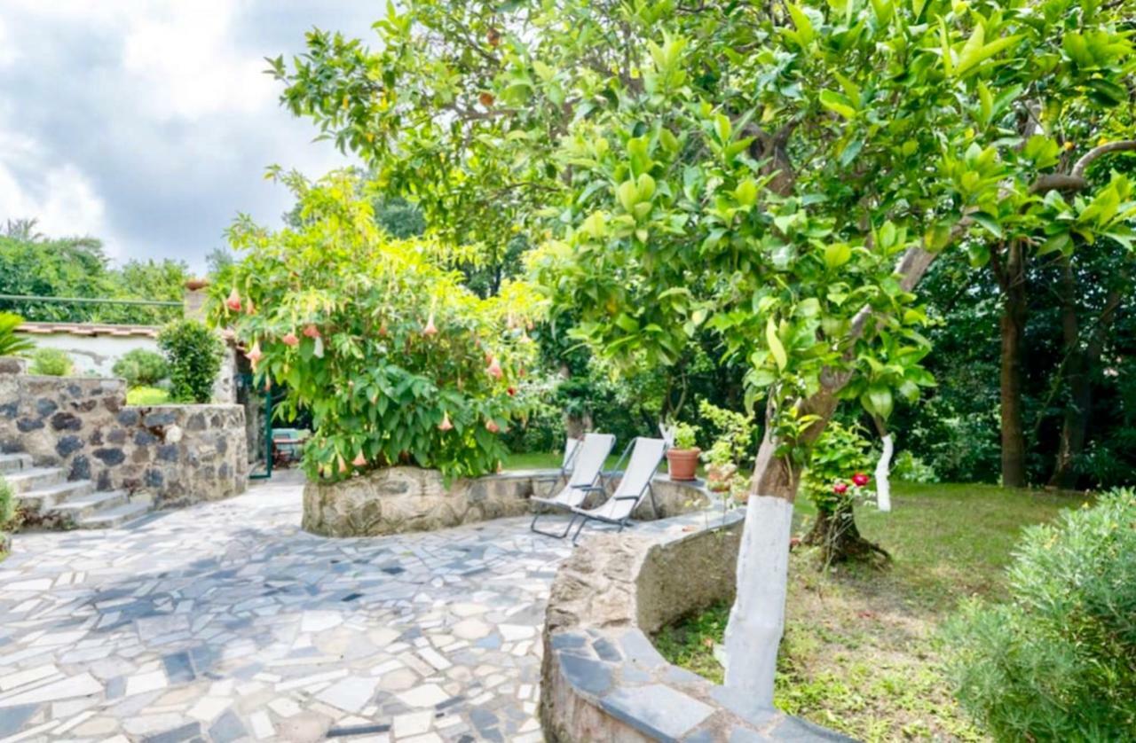 Villa Vincenzo Di Meglio Barano dʼIschia Exteriör bild