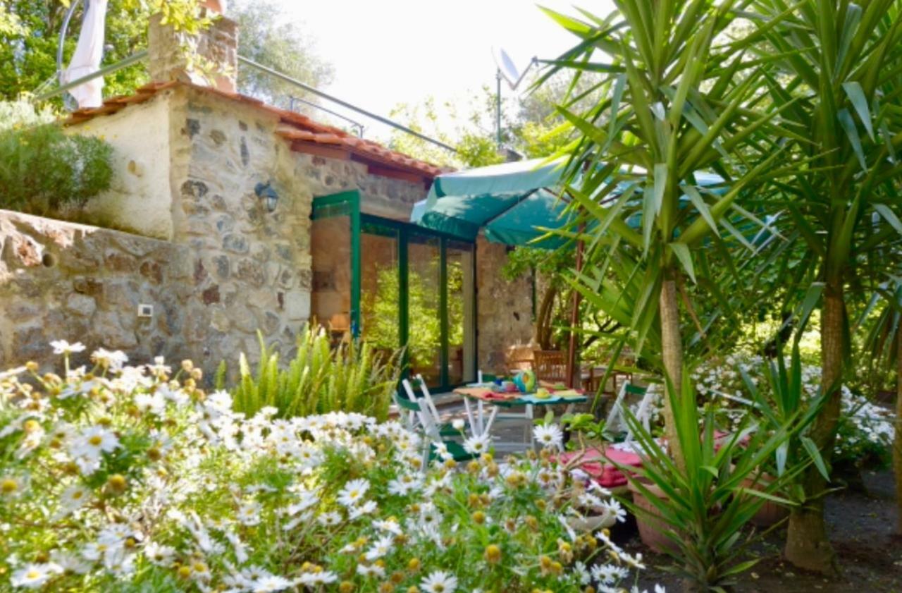 Villa Vincenzo Di Meglio Barano dʼIschia Exteriör bild